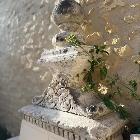 Maison Des Passeroses *